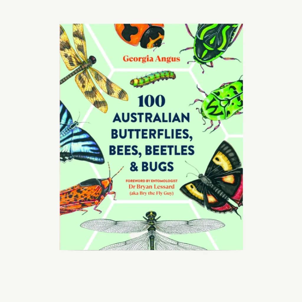 australian_butterflies_b_0.webp Banabae 100 Australian Butterflies, Bees, Beetles & Bugs By: Georgia Angus-Kids Books, Toys & Games