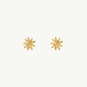 Banabae Magnolia Gold Studs-Women Jewellery