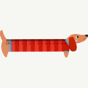 Banabae Wooden Ruler Sausage Dog-Kids The Birthday Collection | Back To Kindy